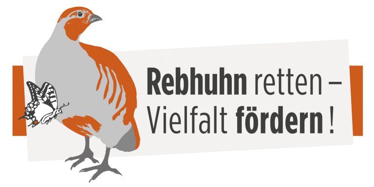 Unterstützung Rebhuhn-Kettenzählung 2